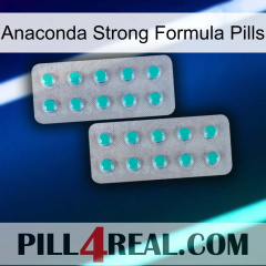 Anaconda Strong Formula Pills 29